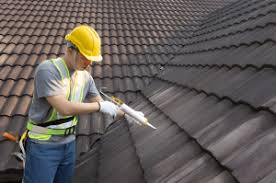 Best Roof Coating and Sealing  in Cave Creek, AZ